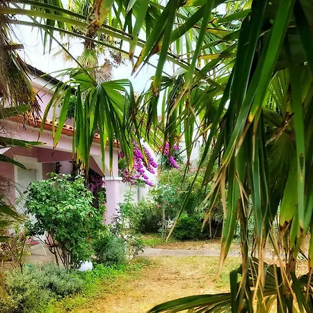 Pink House Tanja בית נופש מדולין
