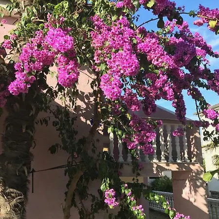 בית נופש Pink House Tanja מדולין