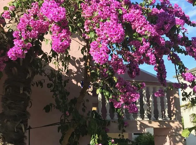 펜션 Pink House Tanja 메덜린